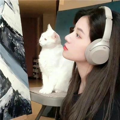 模型姐妹